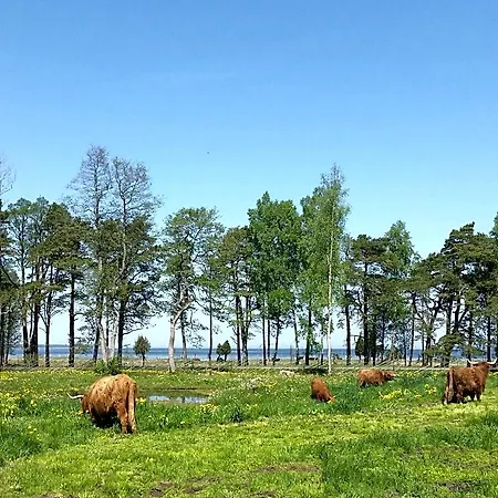 Ranna Farm